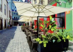 Lee más sobre el artículo Descubre el encanto de El Vasco de Vegueta: Sabor y tradición en un solo lugar